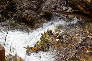 Mühlbach lessern-0182-2023-04-22.jpg