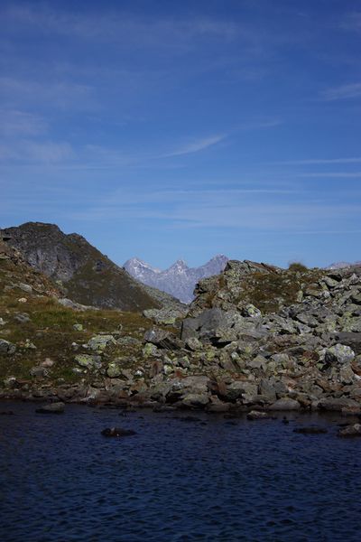 Datei:Nördliche krukecklacke 01687 2015-09-13.jpg