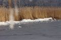 Putterersee - winter 17063 2013-12-23.jpg