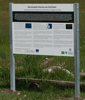 Sternenplatz ramsau-0032-2025-06-09.jpg