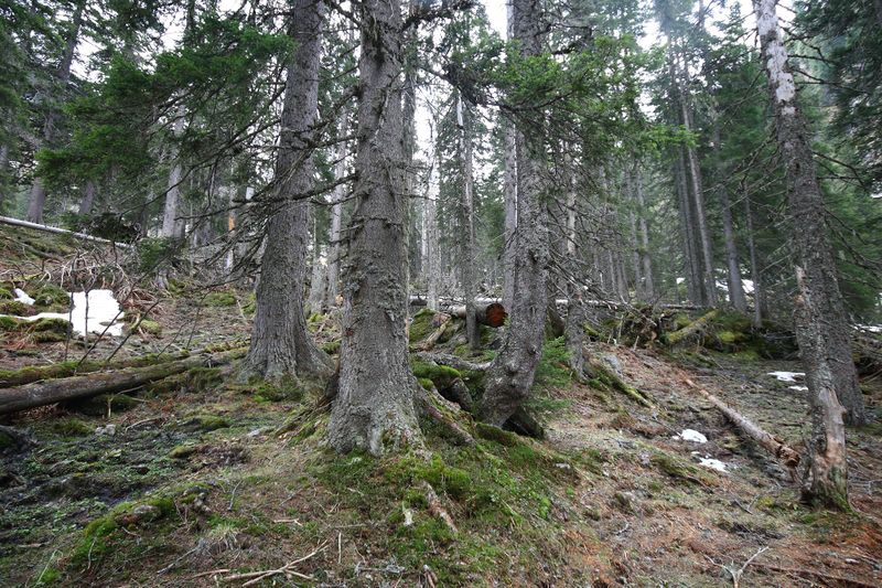 Datei:Strickerkar 55741 2014-05-02.jpg