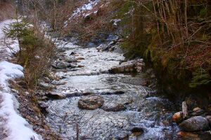 Walchental 43558 2014-02-26.jpg