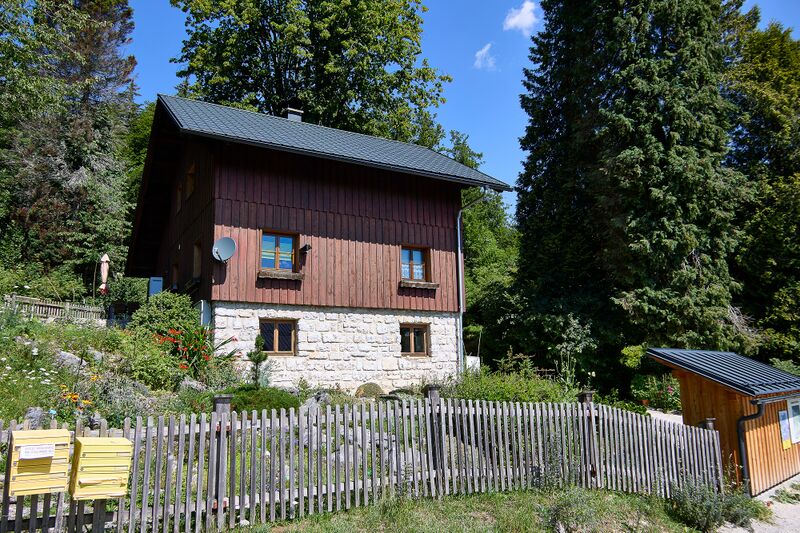 Datei:Alpengarten Bad Aussee-084-2026-07-11.jpg