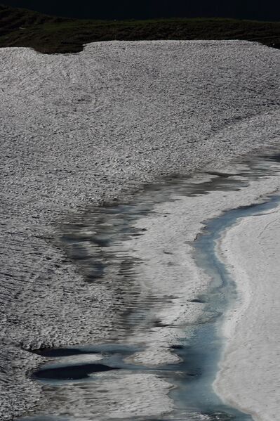 Datei:Augstsee loser 50346 2017-06-11.jpg