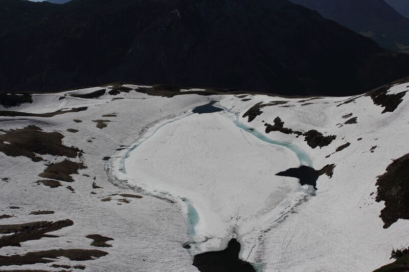 Datei:Augstsee loser 50354 2017-06-11.jpg