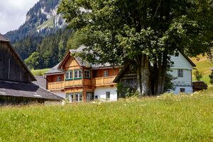 BH mojer-3100-2021-08-03.jpg