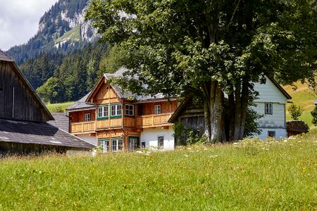 BH mojer-3100-2021-08-03.jpg