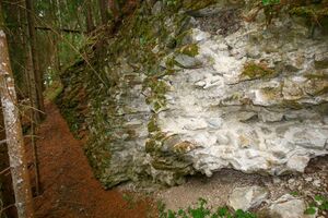 Burg Statteneck- katzenburg 65622 2014-06-16.jpg