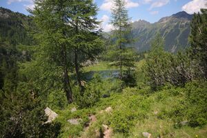 Duisitzkar 1542 2011-07-10.jpg