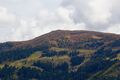 Fischeralm Hühnereck-4101-2021-09-13.jpg