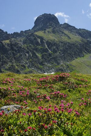 Im Hüttkar 39579 2012-06-29.jpg