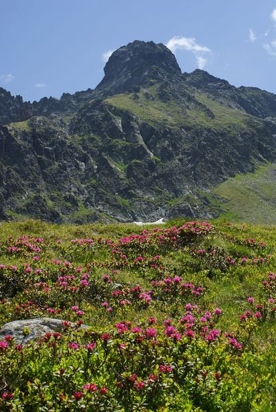 Datei:Im Hüttkar 39579 2012-06-29.jpg