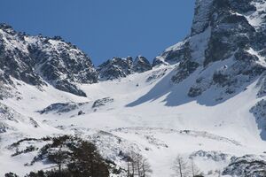 Knappenkar 2872 2009-04-25.jpg