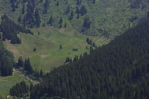 Obere glattalm 90202 2015-06-08.jpg