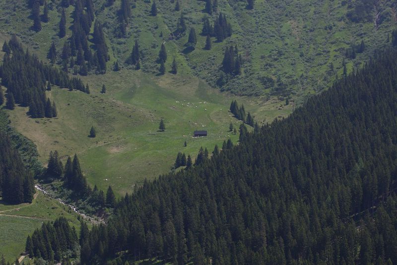 Datei:Obere glattalm 90202 2015-06-08.jpg