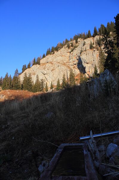 Datei:Obernbergwald kaltes bründl-3100-2018-11-17.jpg