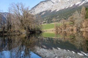 Ofenlegerteich-0022-2024-03-03.jpg