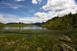 Schobersee 93188 2015-06-26.jpg