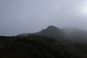 Seekoppe 73943 2014-06-26.jpg