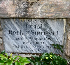 Sternfeld ernst-3100-2018-04-23.jpg