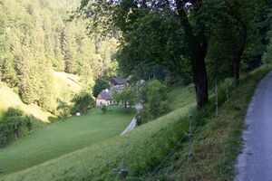 Vlg Brunnsteiner bergerviertel 13-0106-2025-06-18.jpg