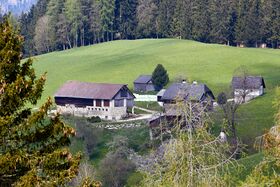 Vlg gatschenberger spiegelsberg-30085-2023-05-04.jpg