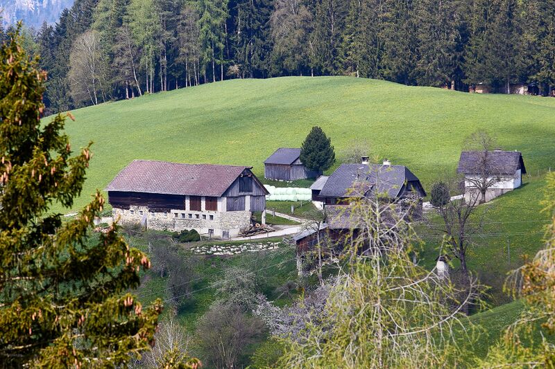 Datei:Vlg gatschenberger spiegelsberg-30085-2023-05-04.jpg