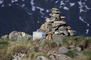 Am nageleck 76948 2014-06-15.jpg