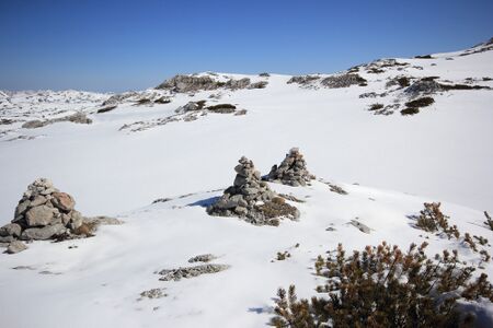 Drei dauben 98734 2019-04-16.jpg