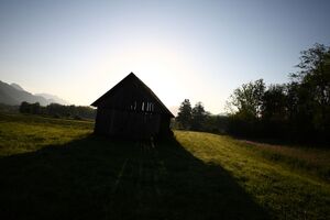 Enns-Altarme bei Niederstuttern 58792 2014-05-26.jpg