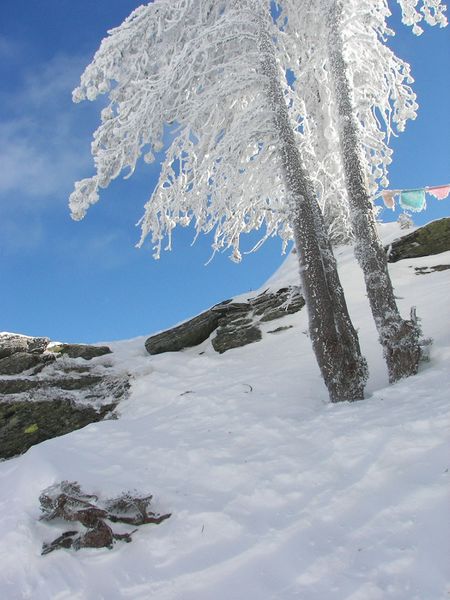 Datei:Hochfeld 42951 2006-01-19.jpg