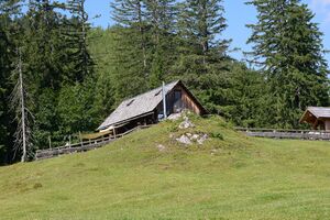 Jhtt niederscheibenbergalm-0237-2025-06-24.jpg