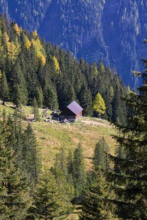 Kaltherbergalm 38055 2011-10-18.jpg