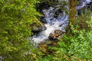 Knallbach knallalm 55587 2016-08-17.jpg