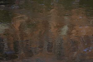 Landauersee 14244 2011-11-30.jpg