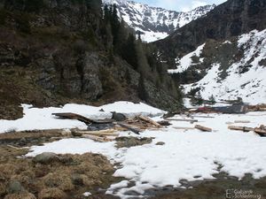 Lawine eliashütte0691.jpg
