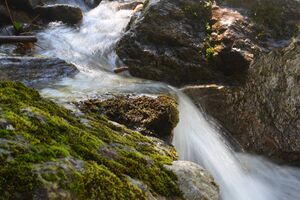 Obertalbach 7857 2008-07-30.jpg