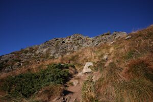 Schober reiteralm 37679 2011-10-03.jpg