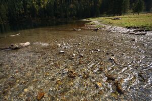 Schwarzensee kleinsölk 73570 2014-10-03.jpg