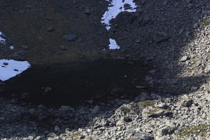 Datei:See nördl zwiesling (2).jpg