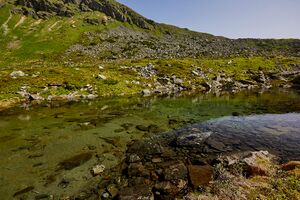 Stegerkarsee-2013-2021-06-21.jpg