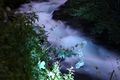 Talbachklamm nacht 65639 2014-06-16.jpg