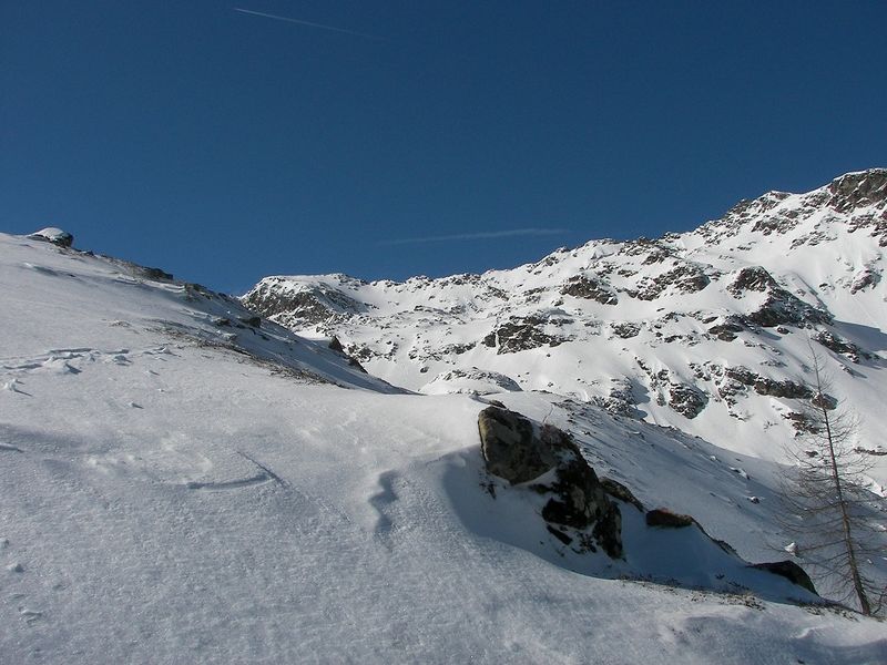 Datei:Wildkar 2504 2007-03-05.jpg