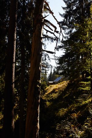 Ausseer sandlingalm-0121-2021-10-11.jpg