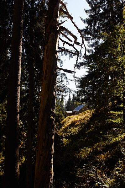 Datei:Ausseer sandlingalm-0121-2021-10-11.jpg