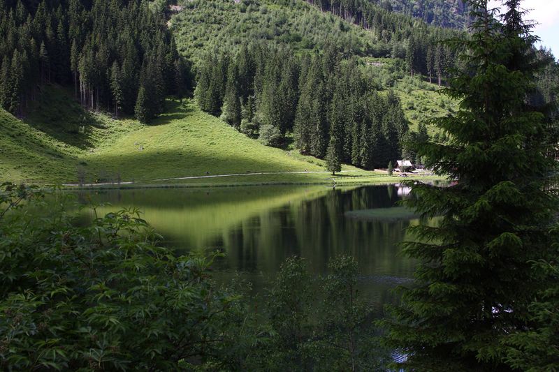 Datei:Bodensee seewigtal 63514 2014-06-21.jpg