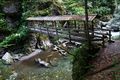 Donnersbachklamm 72863 2014-06-18.jpg