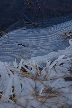 Elmsee 1911 2011-10-16.jpg