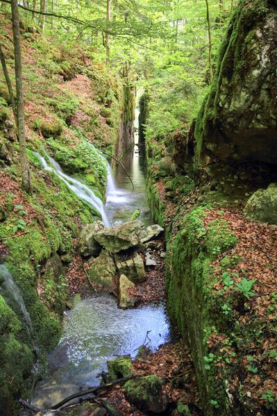 Datei:Flößereidurchbruch kammersee 46966 2017-05-17.jpg
