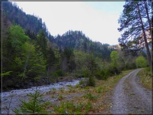 Gofergrabenbach( 13.04.24 ) 004.jpg